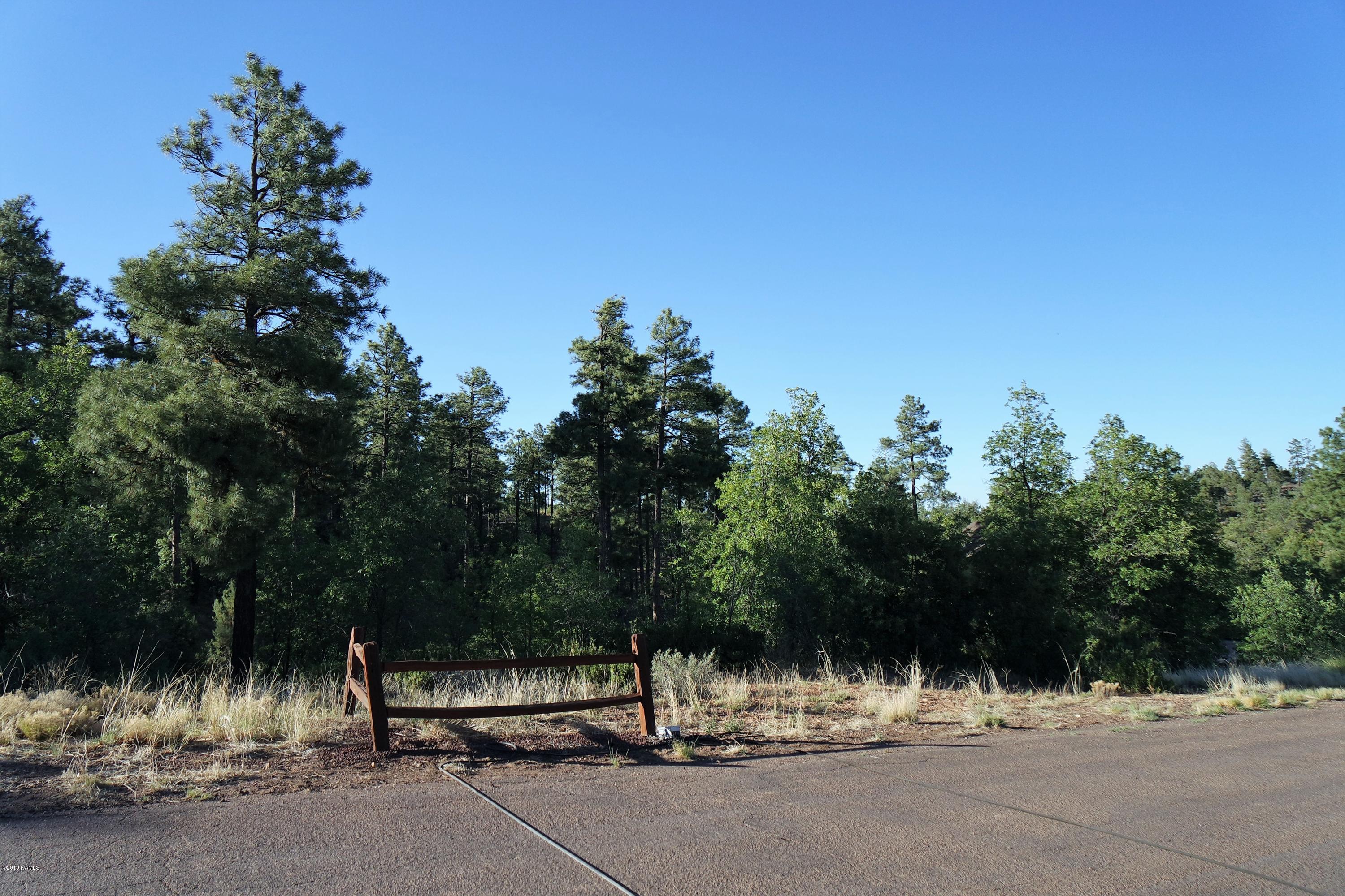 6023 Rim Road Show Low, AZ 85901 - Photo 9 of 10 Tall Pines