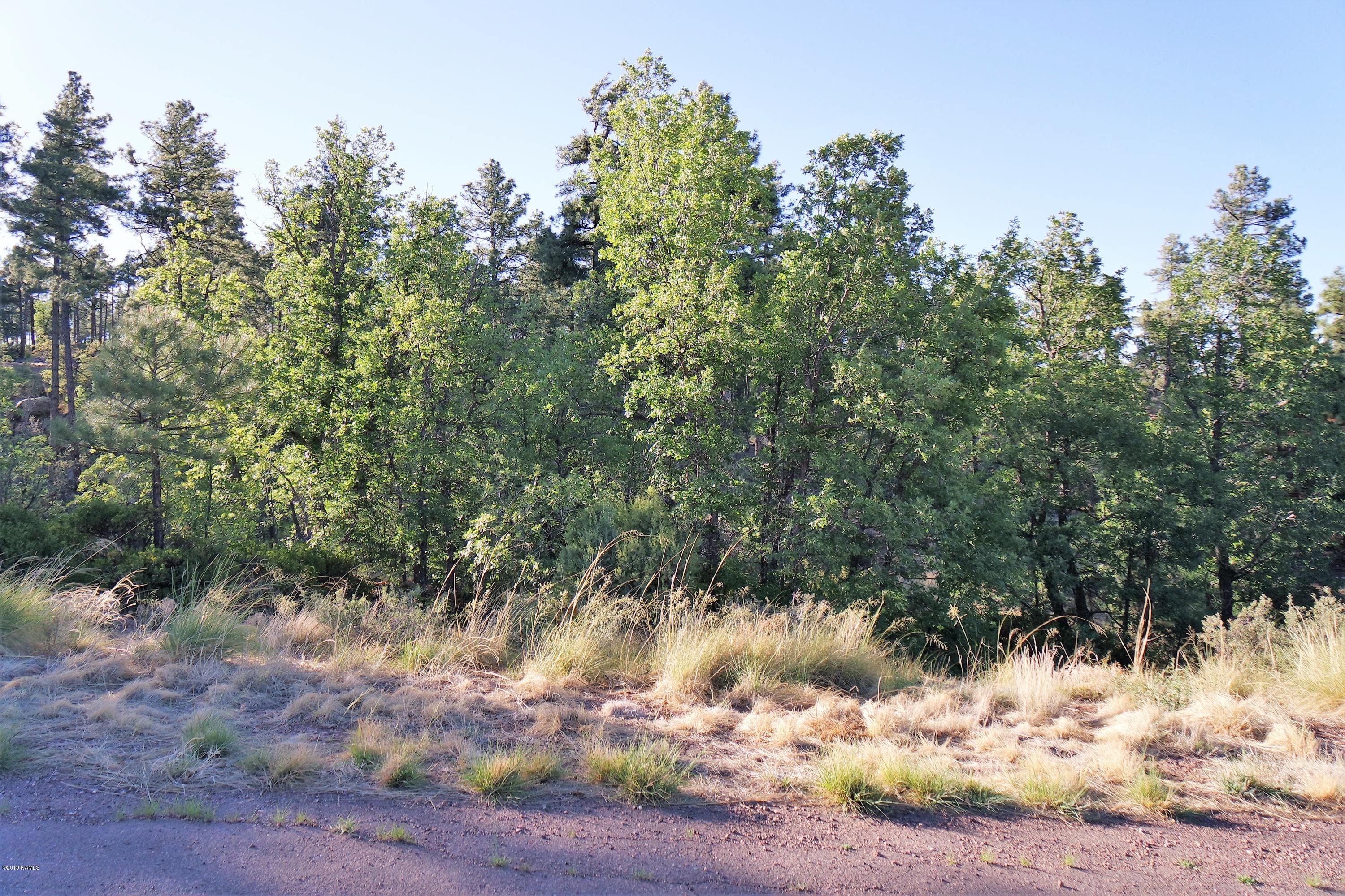 6023 Rim Road Show Low, AZ 85901 - Photo 10 of 10 Tall Pines