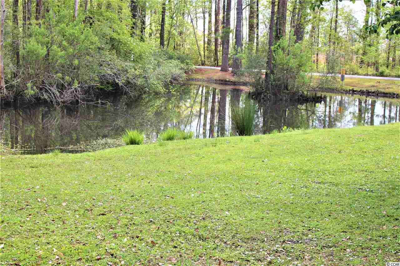 34 Wedgefield Village Road, Unit 49 Georgetown, SC 29440 - Photo 12 of 23 Gallery Image 12