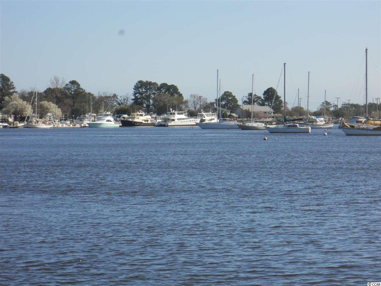 34 Wedgefield Village Road, Unit 49 Georgetown, SC 29440 - Photo 23 of 23 Gallery Image 23