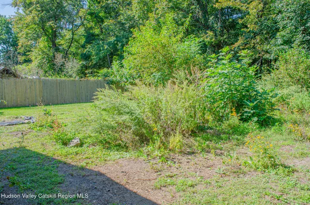 a view of a garden with trees