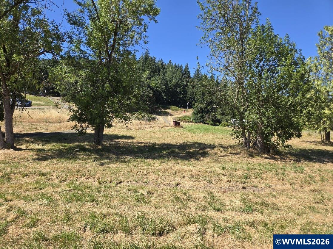 Lot 113 Knox Butte Road Albany, OR 97322 - Photo 10 of 13