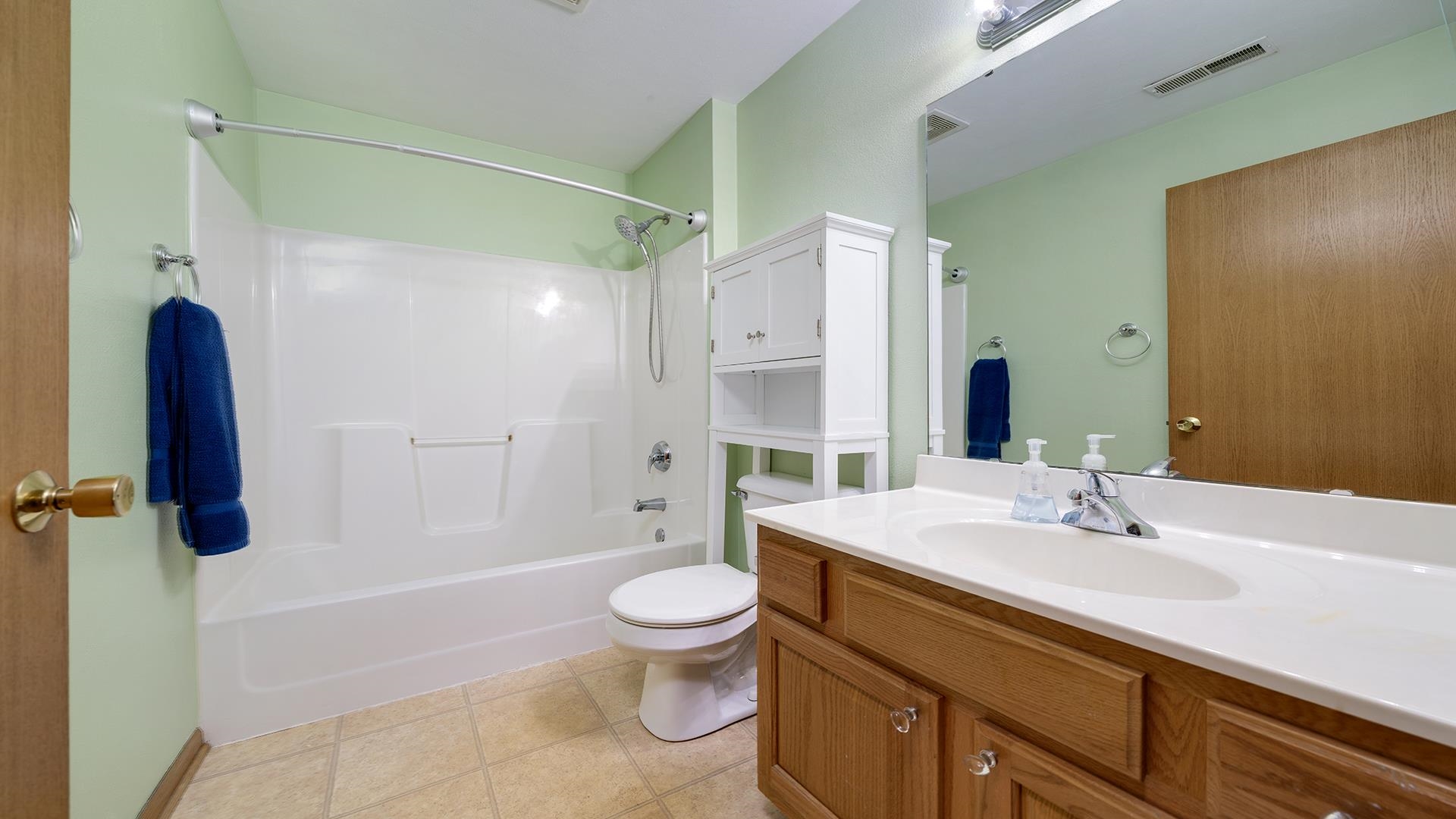 443 Mill Ridge Drive Byron, IL 61010 - Photo 14 of 25 a bathroom with a sink a toilet and shower