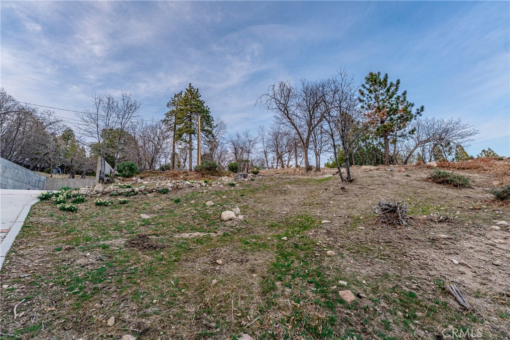 70 Panorama Road Running Springs, CA 92382 - Photo 3 of 12