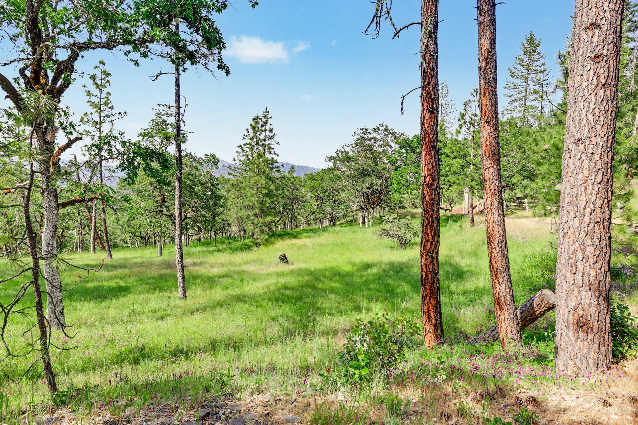 275 Citadel Road Trail, OR 97541 - Photo 15 of 46 ApxCD00015