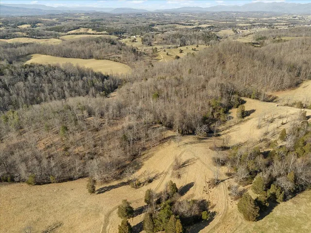 $1,299,950 | 360 Maple Ridge Lane, Fincastle, VA 24090