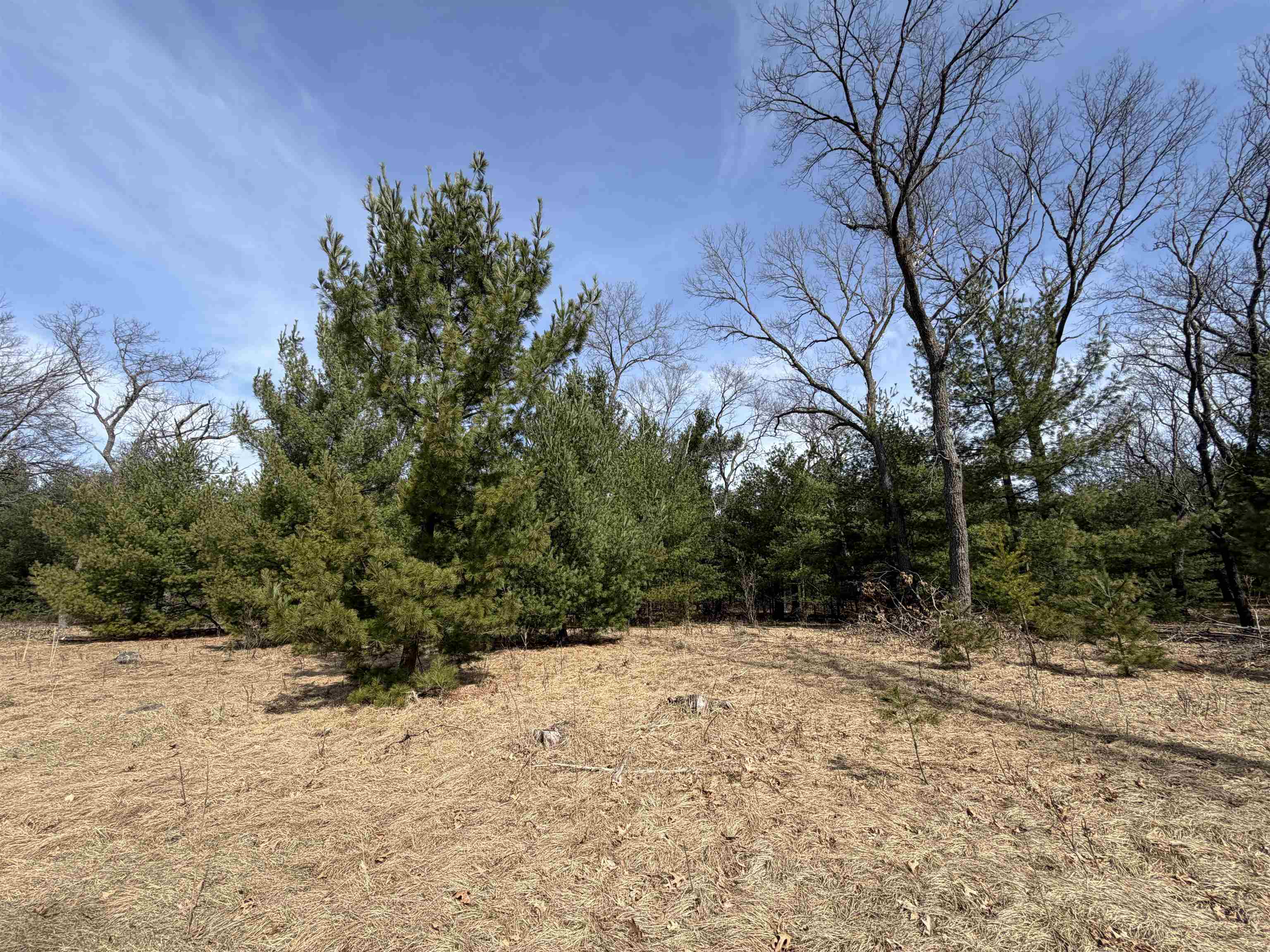 Lot 30 Fern Wisconsin Dells, WI 53965 - Photo 4 of 8