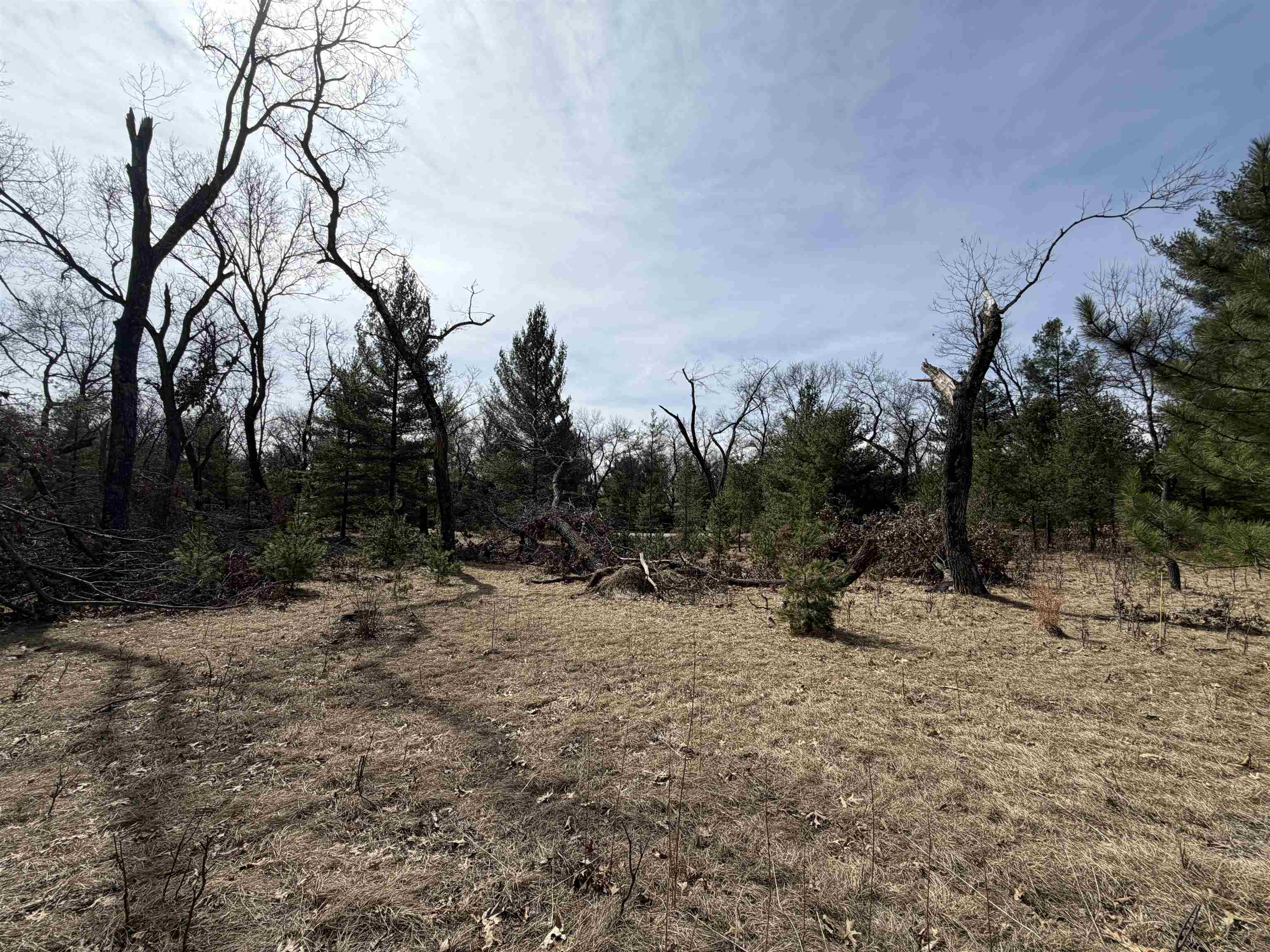 Lot 30 Fern Wisconsin Dells, WI 53965 - Photo 5 of 8