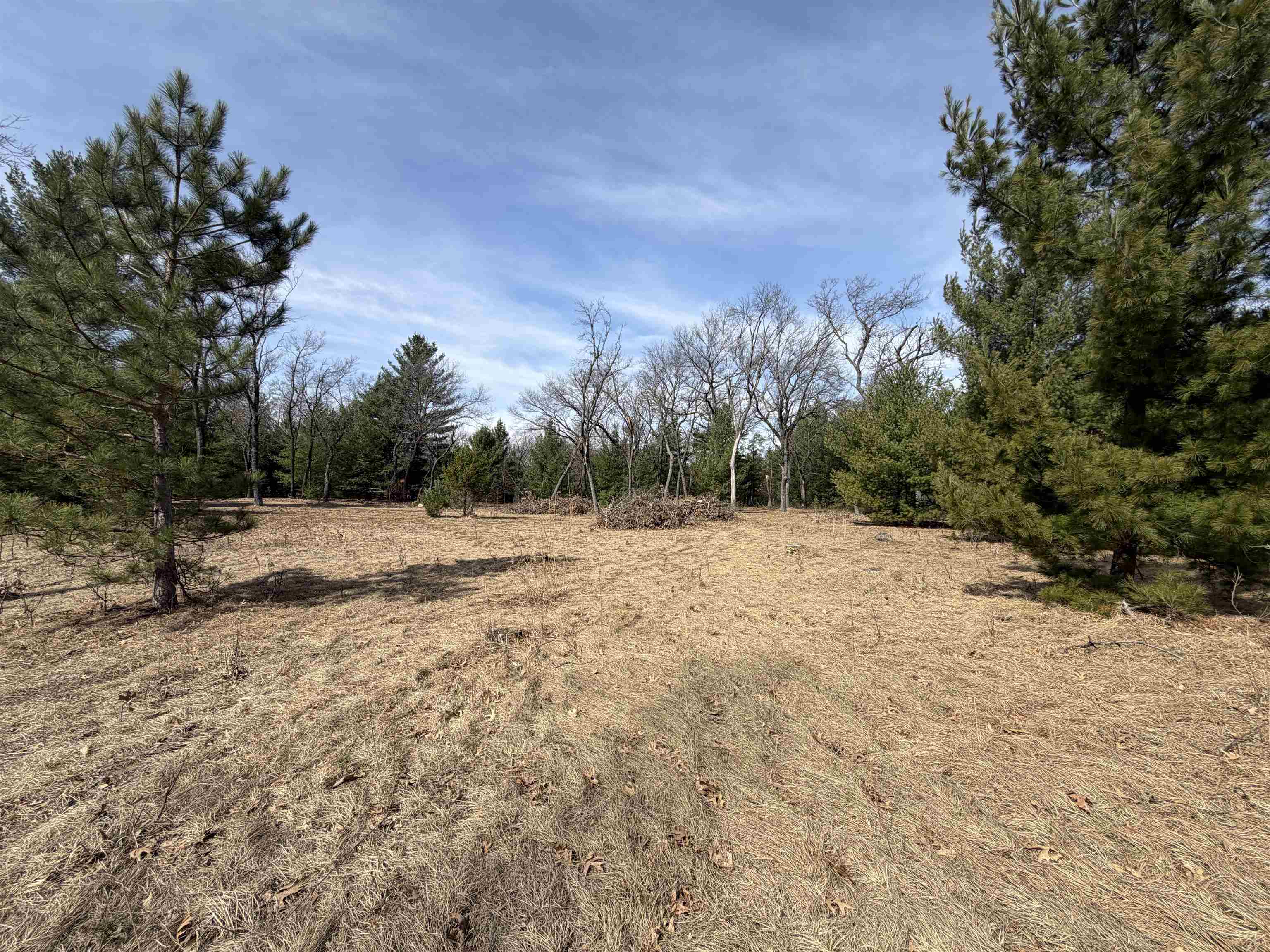 Lot 30 Fern Wisconsin Dells, WI 53965 - Photo 6 of 8