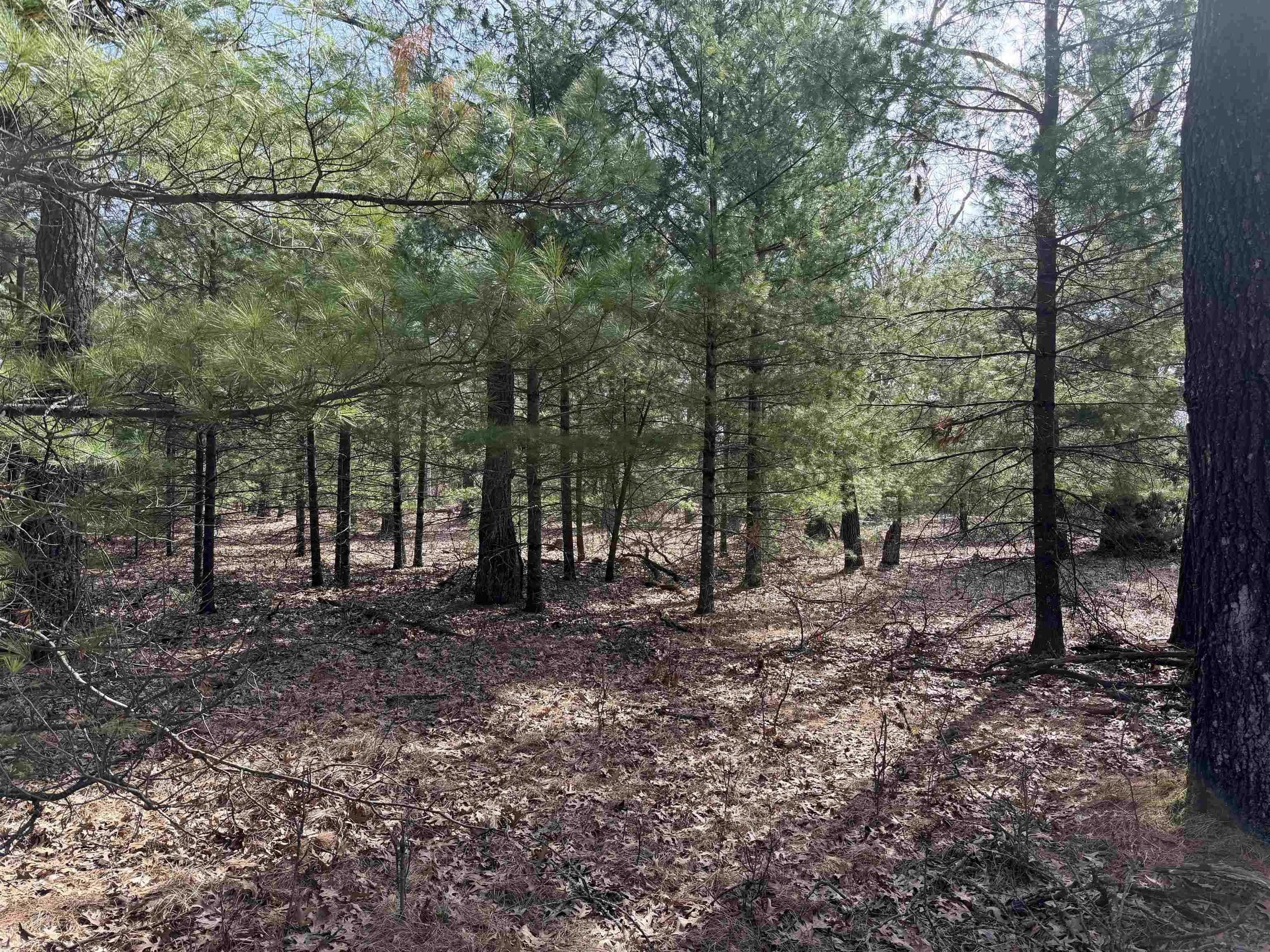 Lot 30 Fern Wisconsin Dells, WI 53965 - Photo 7 of 8