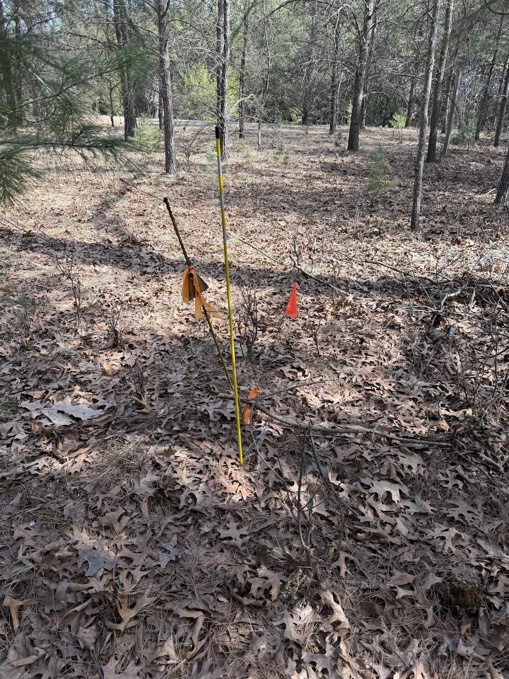 Lot 30 Fern Wisconsin Dells, WI 53965 - Photo 8 of 8