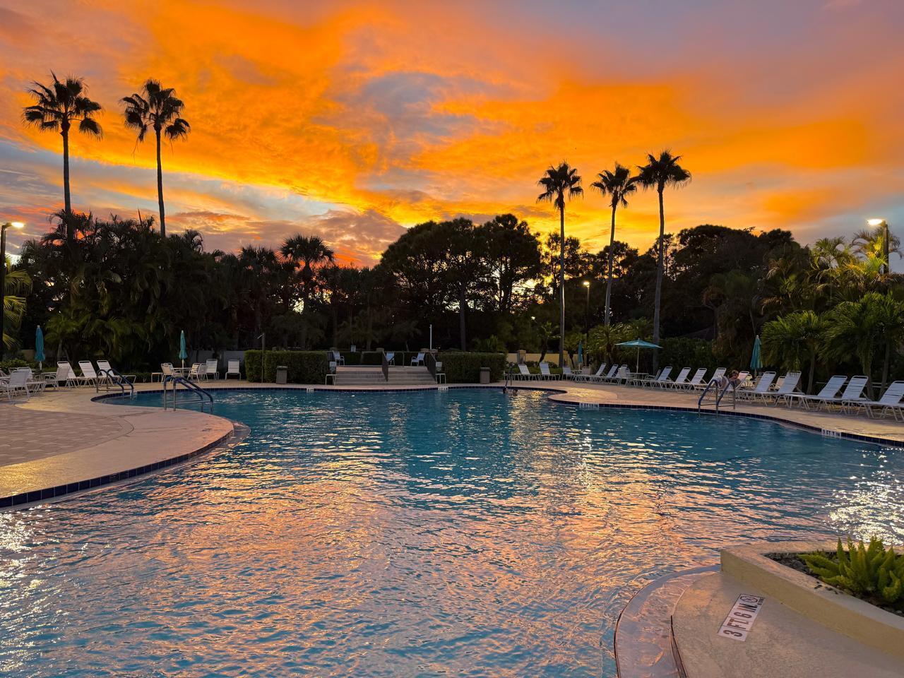 8294 Mulligan Circle, Unit B Port St. Lucie, FL 34986 - Photo 14 of 15 a view of a lake with palm trees