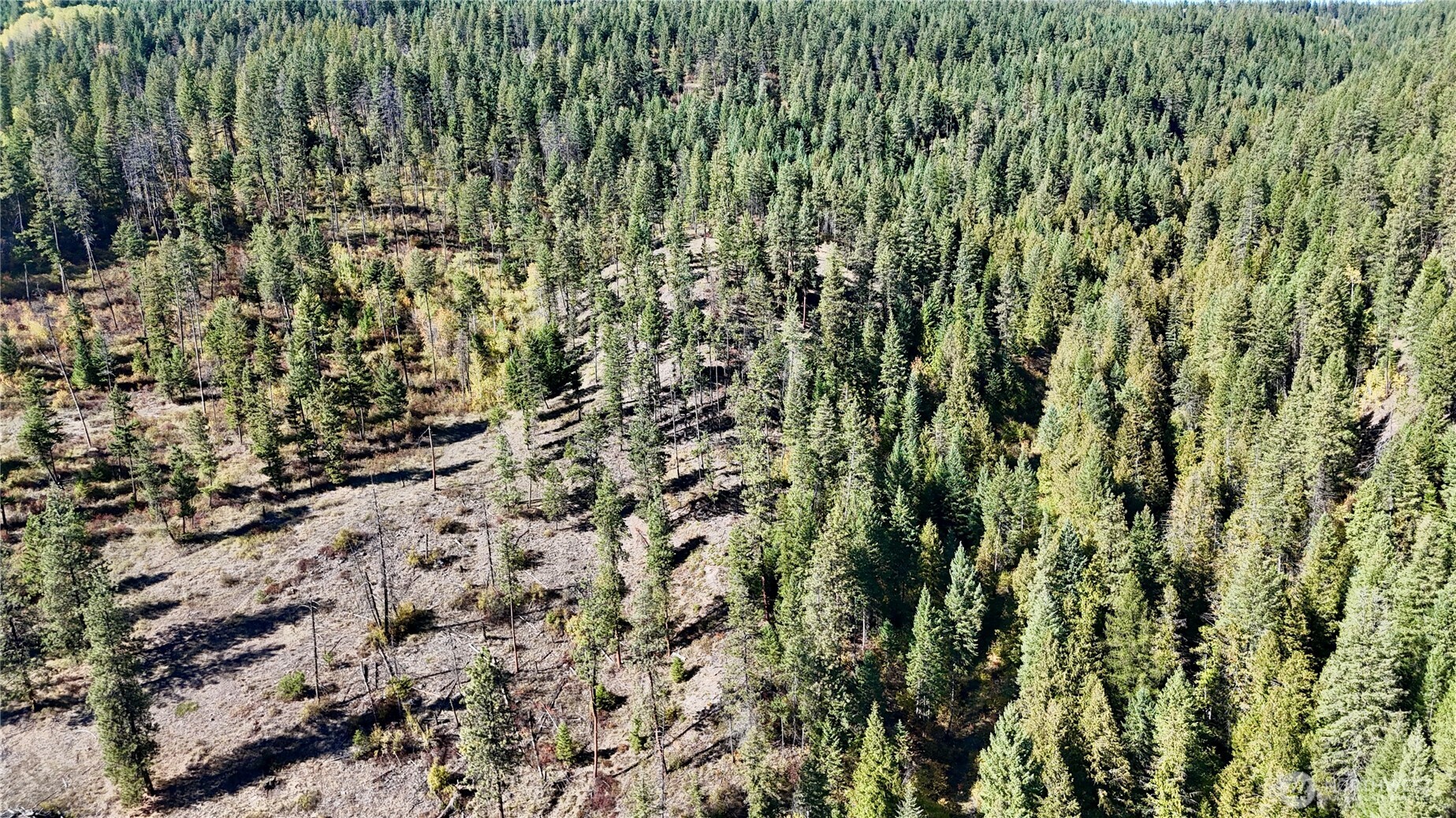 3 Deadman Creek Road Kettle Falls, WA 99141 - Photo 20 of 24 Gallery Image 20