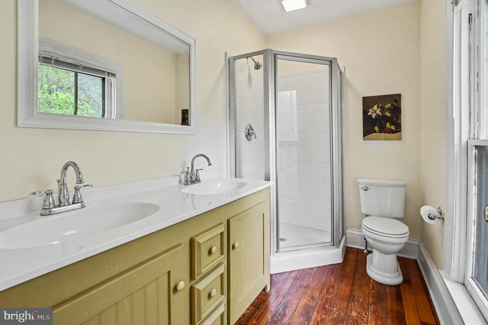 9627 Easton Road Upper Black Eddy, PA 18972 - Photo 6 of 28 a bathroom with a sink a toilet and shower