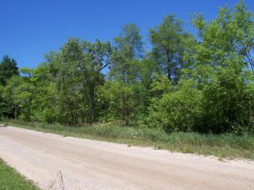 4377 Deaner Road Northeast Edmore, MI 48829 - Photo 1 of 1 Primary Photo