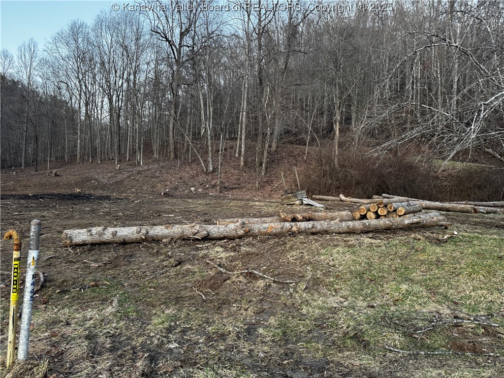 1696 Limestone Branch Road Harts, WV 25524 - Photo 6 of 18 Gallery Image 6