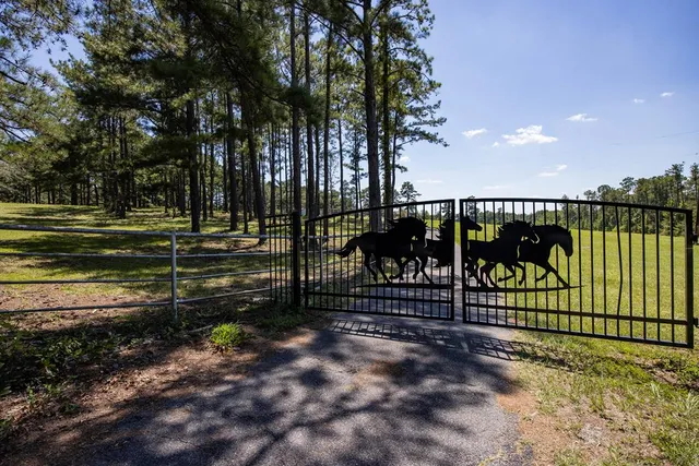 $780,000 | 475 Rock Church Road, Junction City, GA 31812