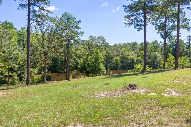 $780,000 | 475 Rock Church Road, Junction City, GA 31812