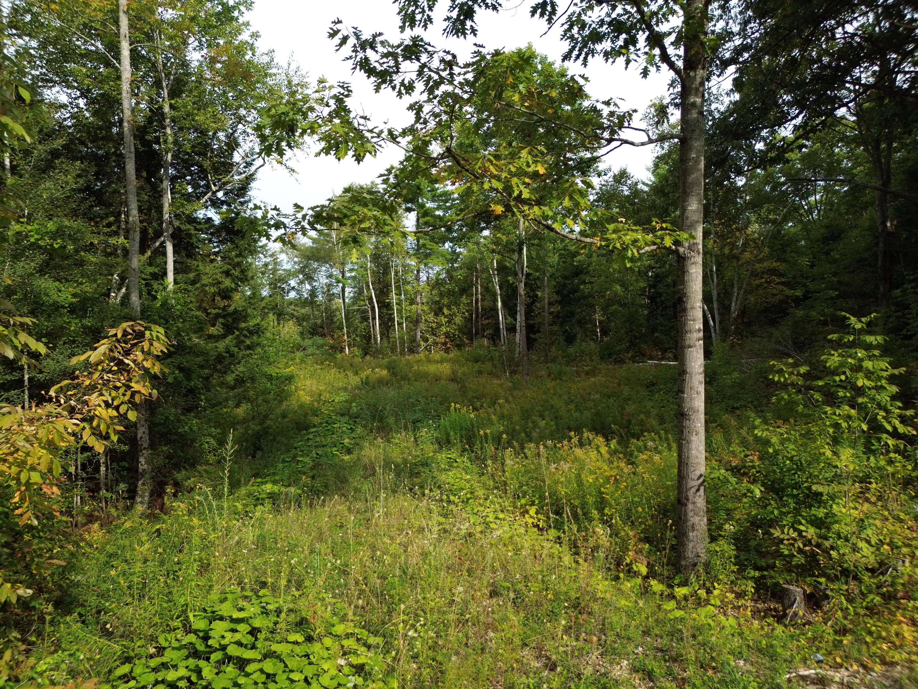Lot 75 Bassett Road Winslow, ME 04901 - Photo 2 of 6