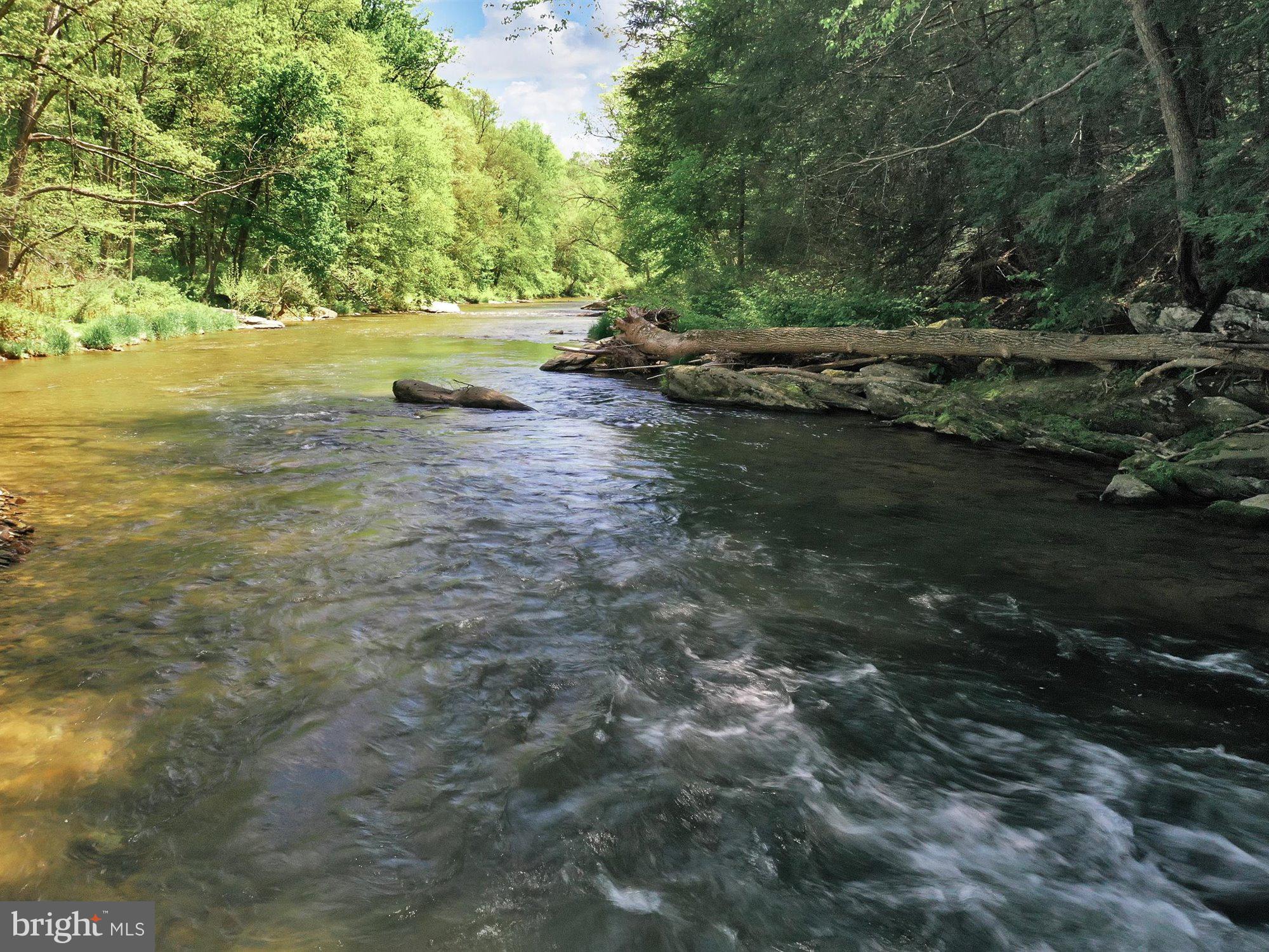 703 Norris Road Airville, PA 17302 - Photo 14 of 72 Muddy Creek
