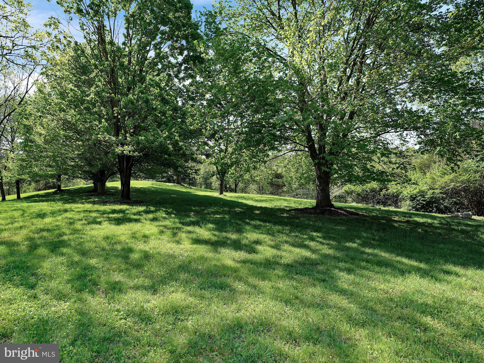 703 Norris Road Airville, PA 17302 - Photo 50 of 72 Back yard