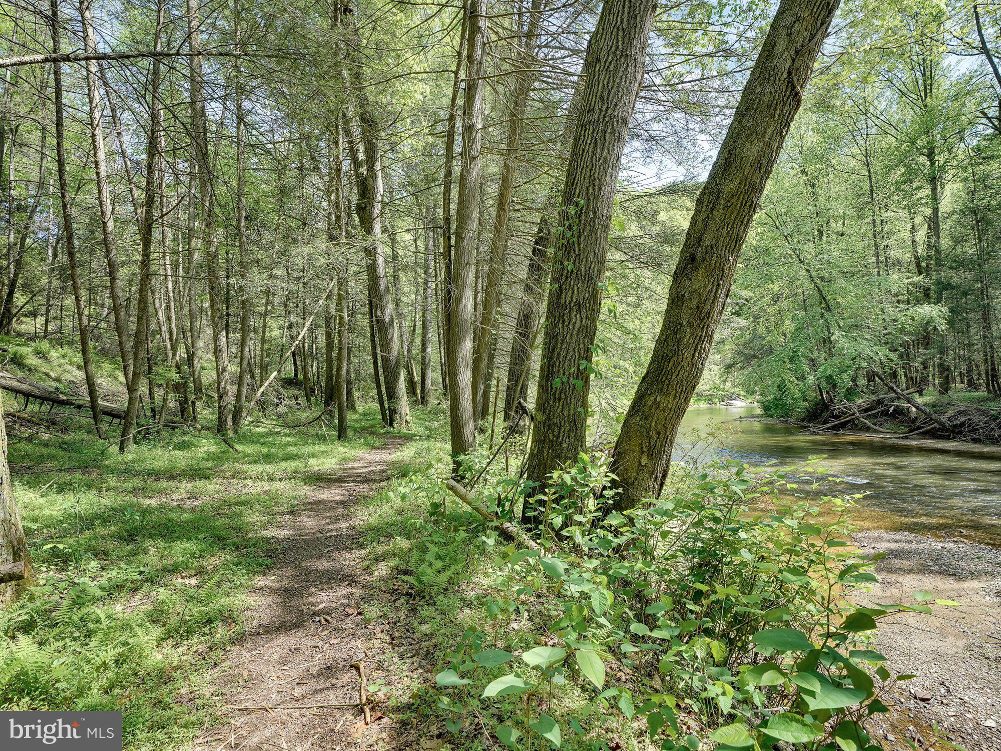 703 Norris Road Airville, PA 17302 - Photo 64 of 72 Gallery Image 64
