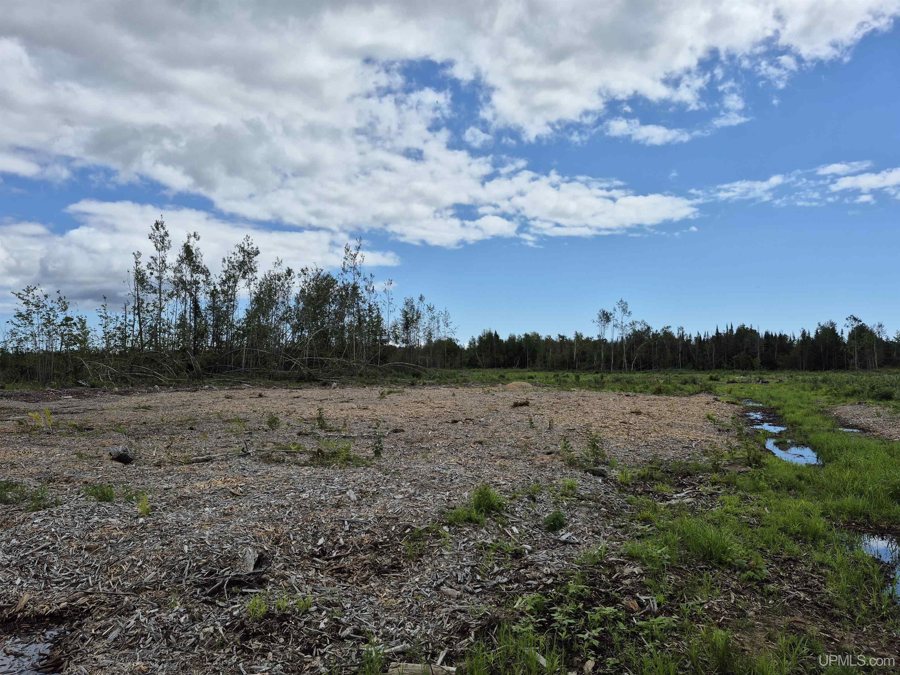 160-acres Halverson Road Gulliver, MI 49840 - Photo 5 of 35