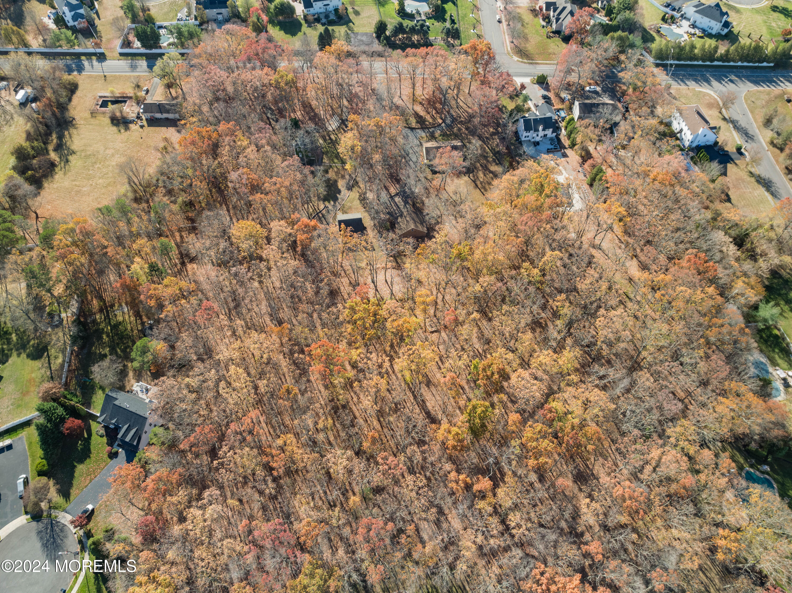 552 Hyson Road Jackson, NJ 08527 - Photo 13 of 23 a view of a lake with a tree