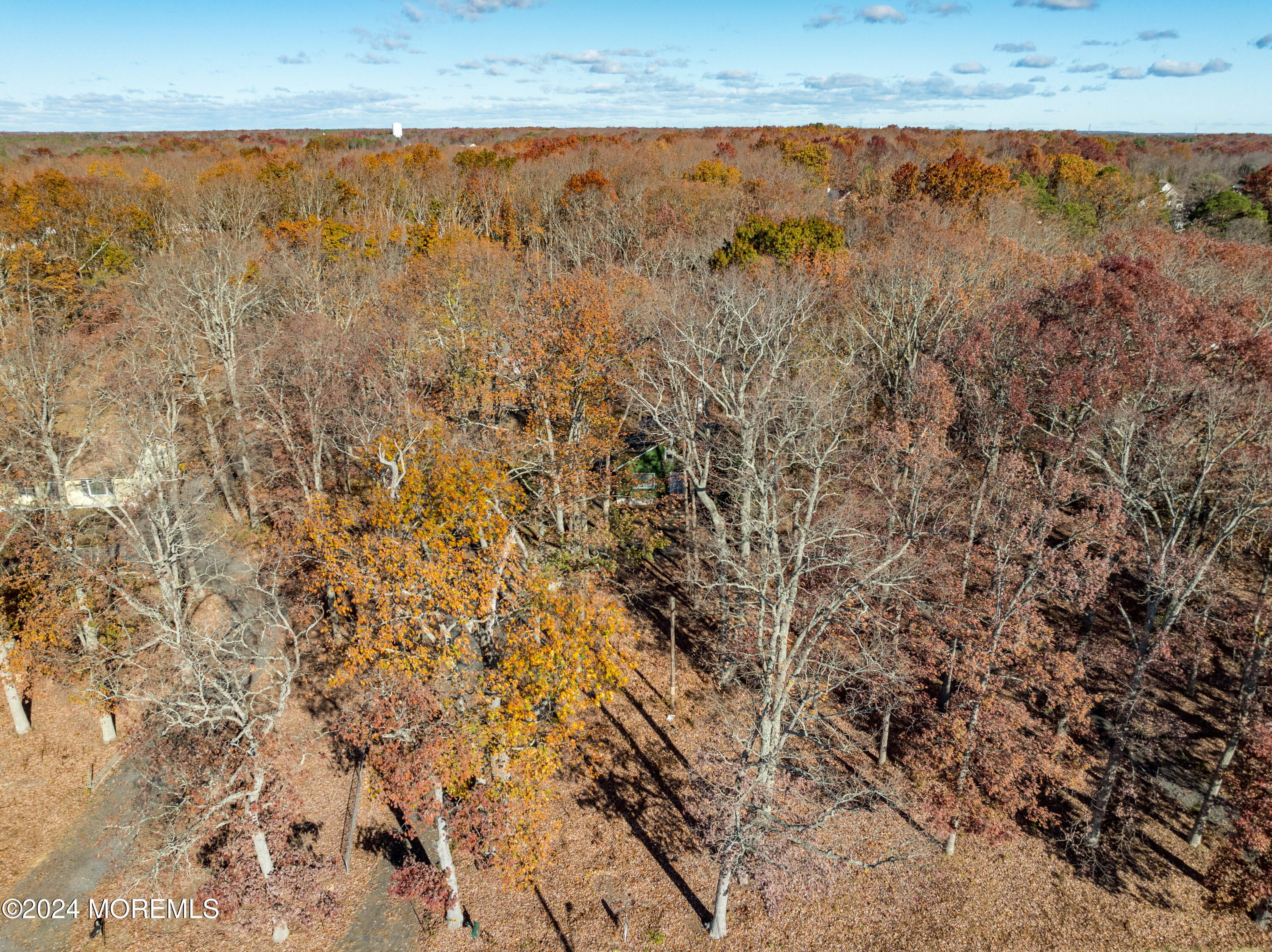 552 Hyson Road Jackson, NJ 08527 - Photo 9 of 23 a view of yard with wooden floor