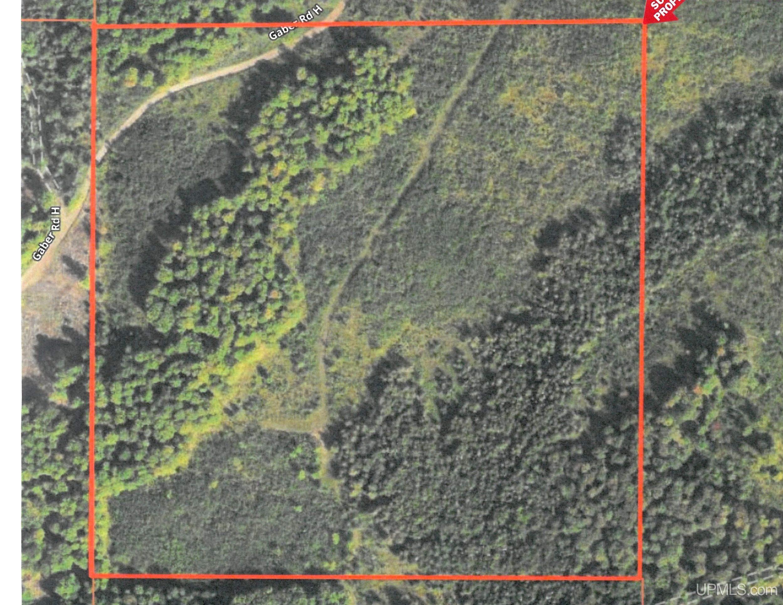 Tbd North Gaber Rd H Road Perronville, MI 49873 - Photo 13 of 14