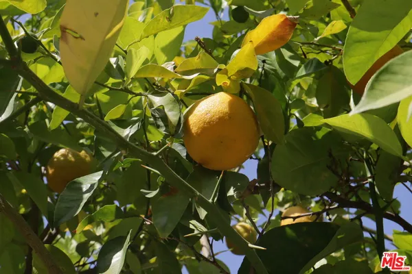 $3,850 | 5301 Balboa Boulevard, Unit F8, Encino, CA 91316