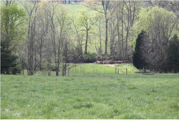 359 Cloverdale Road Rising Fawn, GA 30738 - Photo 2 of 21 Additional Photo