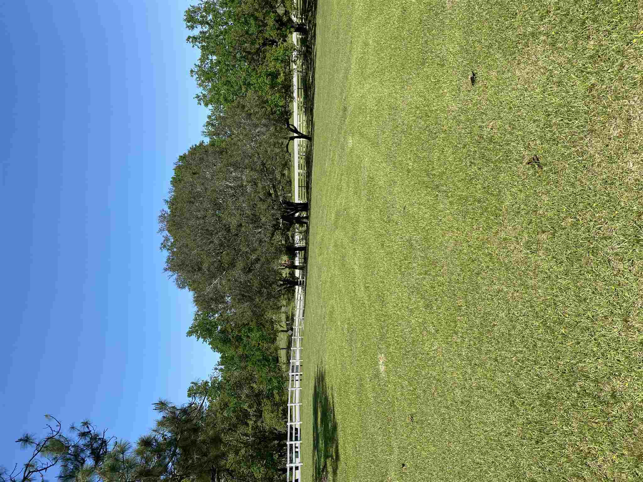 12390 Pleasant View Lane Foley, AL 36535 - Photo 26 of 28 LOTS TO BUILD ON