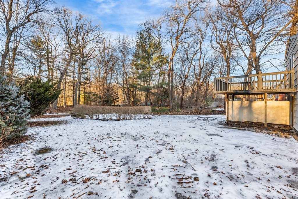 7 Pinewood Road Peabody, MA 01960 - Photo 2 of 11 a backyard of a house with large trees