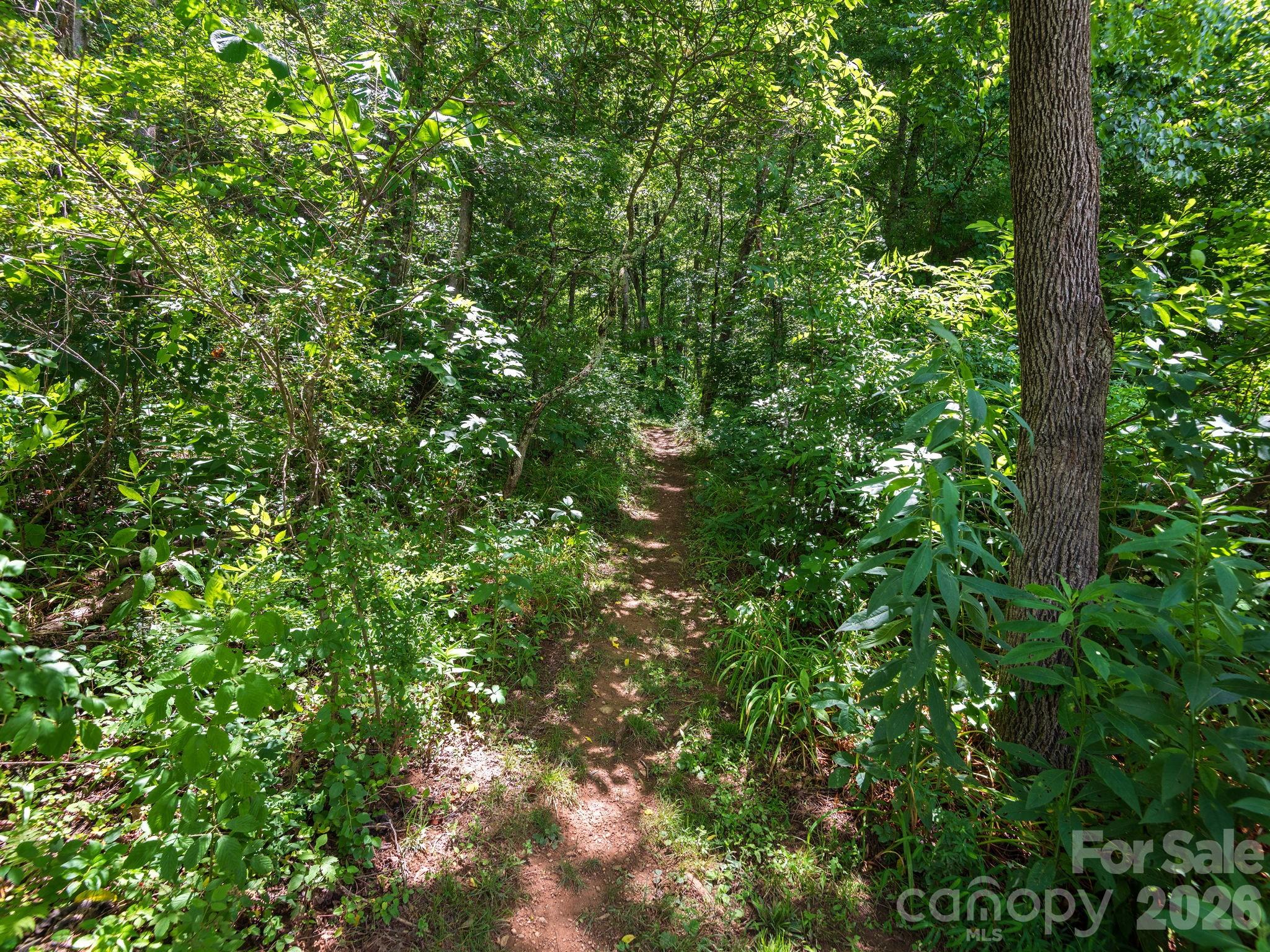 46 Perennial Ridge Weaverville, NC 28787 - Photo 33 of 44
