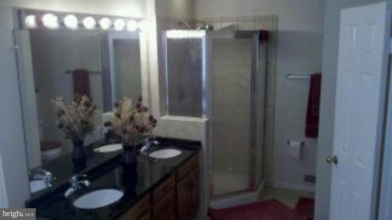 209 Bonifant Road Silver Spring, MD 20905 - Photo 6 of 25 Master Bath