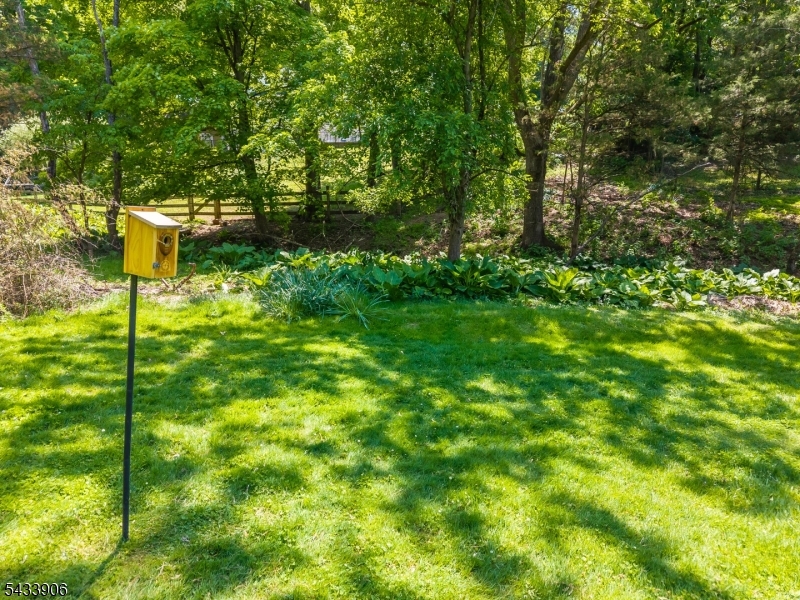 14 Lexington Road Annandale, NJ 08801 - Photo 41 of 47 a backyard of a house with lots of plants and tree