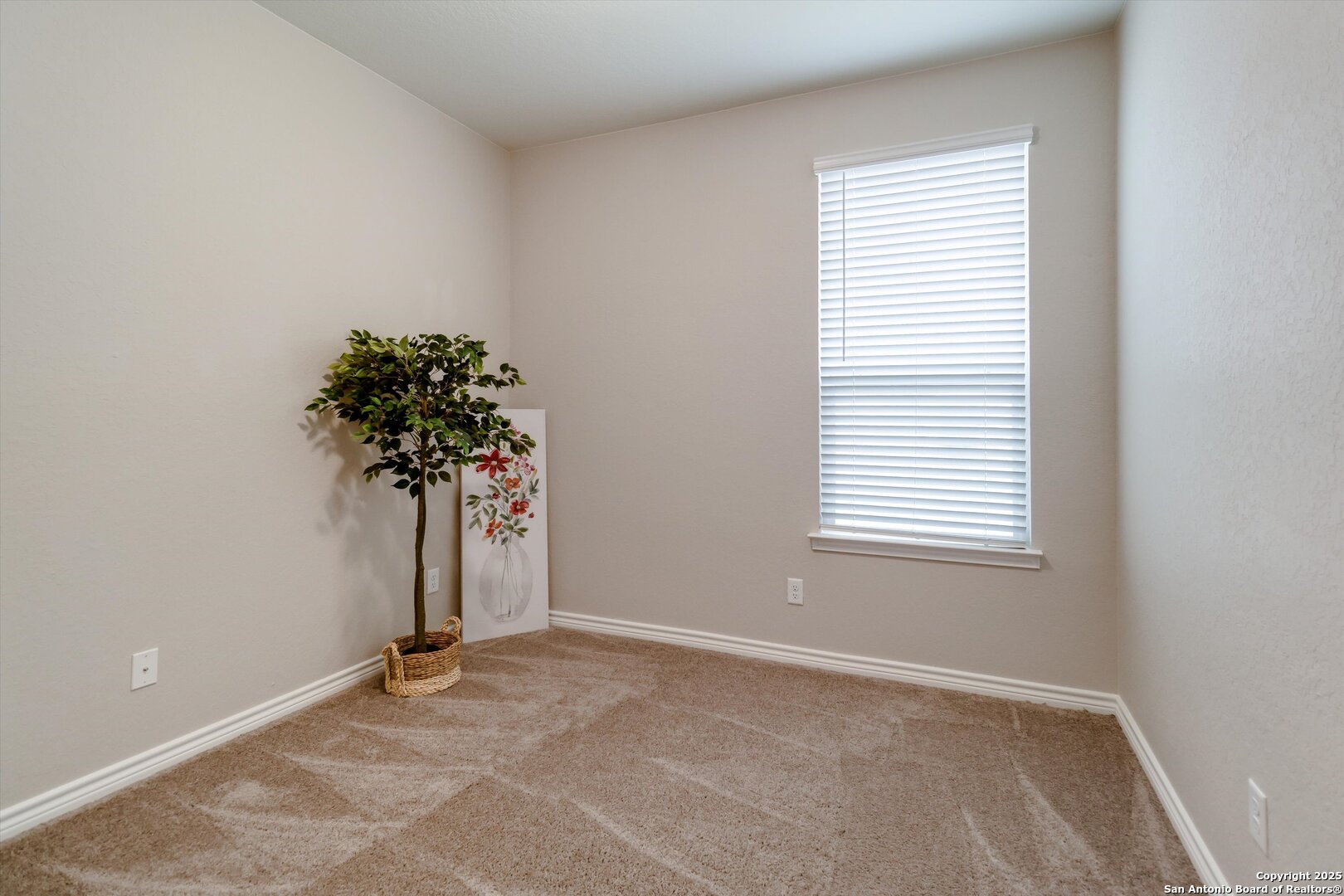 3614 Marvel Bulverde, TX 78163 - Photo 17 of 28