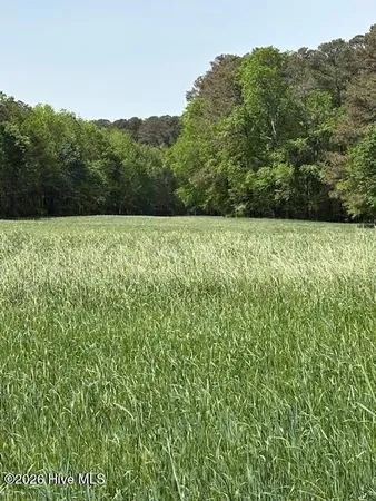 $400,000 | 0 Leon Road, Nashville, NC 27856