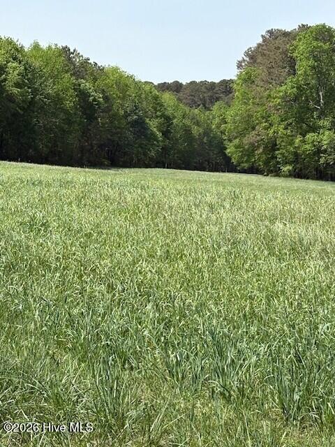 0 Leon Road Nashville, NC 27856 - Photo 2 of 5 sapony 2