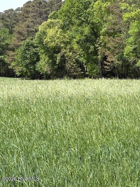 0 Leon Road Nashville, NC 27856 - Photo 3 of 5 sapony 5