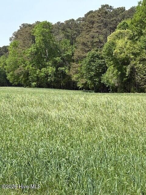 0 Leon Road Nashville, NC 27856 - Photo 4 of 5 sapony 3