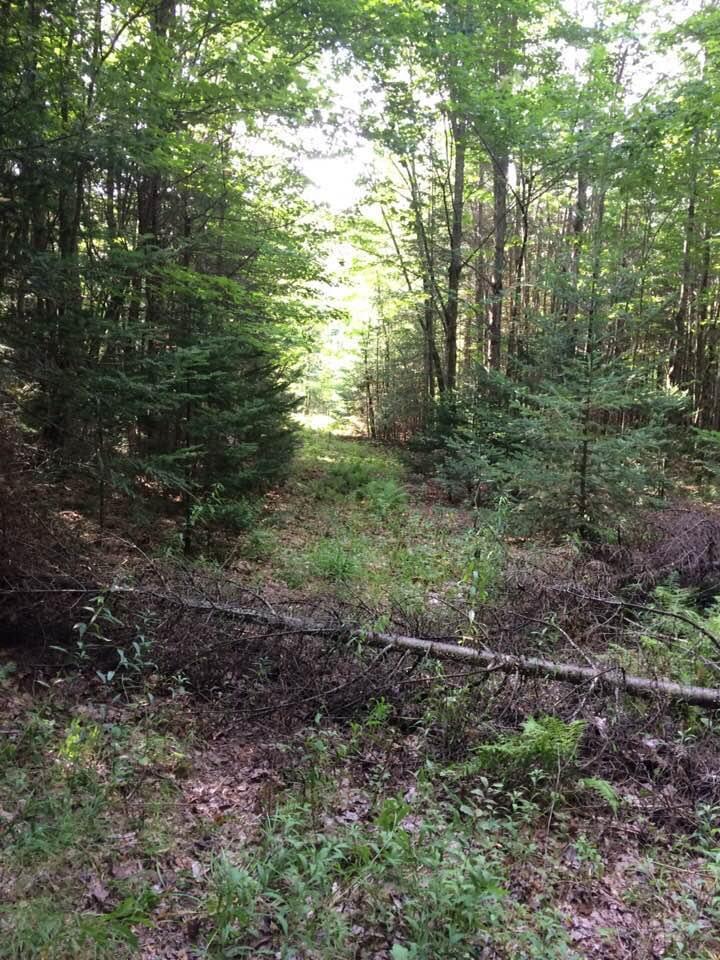 181 Brown Road Farmington, ME 04938 - Photo 99 of 110 Trails