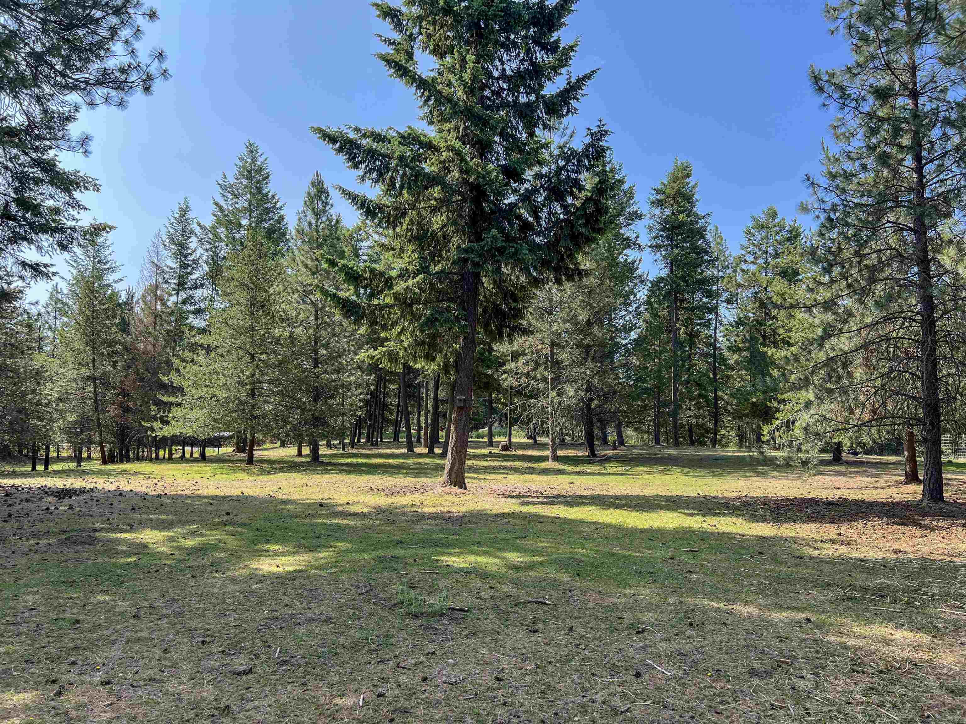 563 Graham Road Colville, WA 99114 - Photo 2 of 50