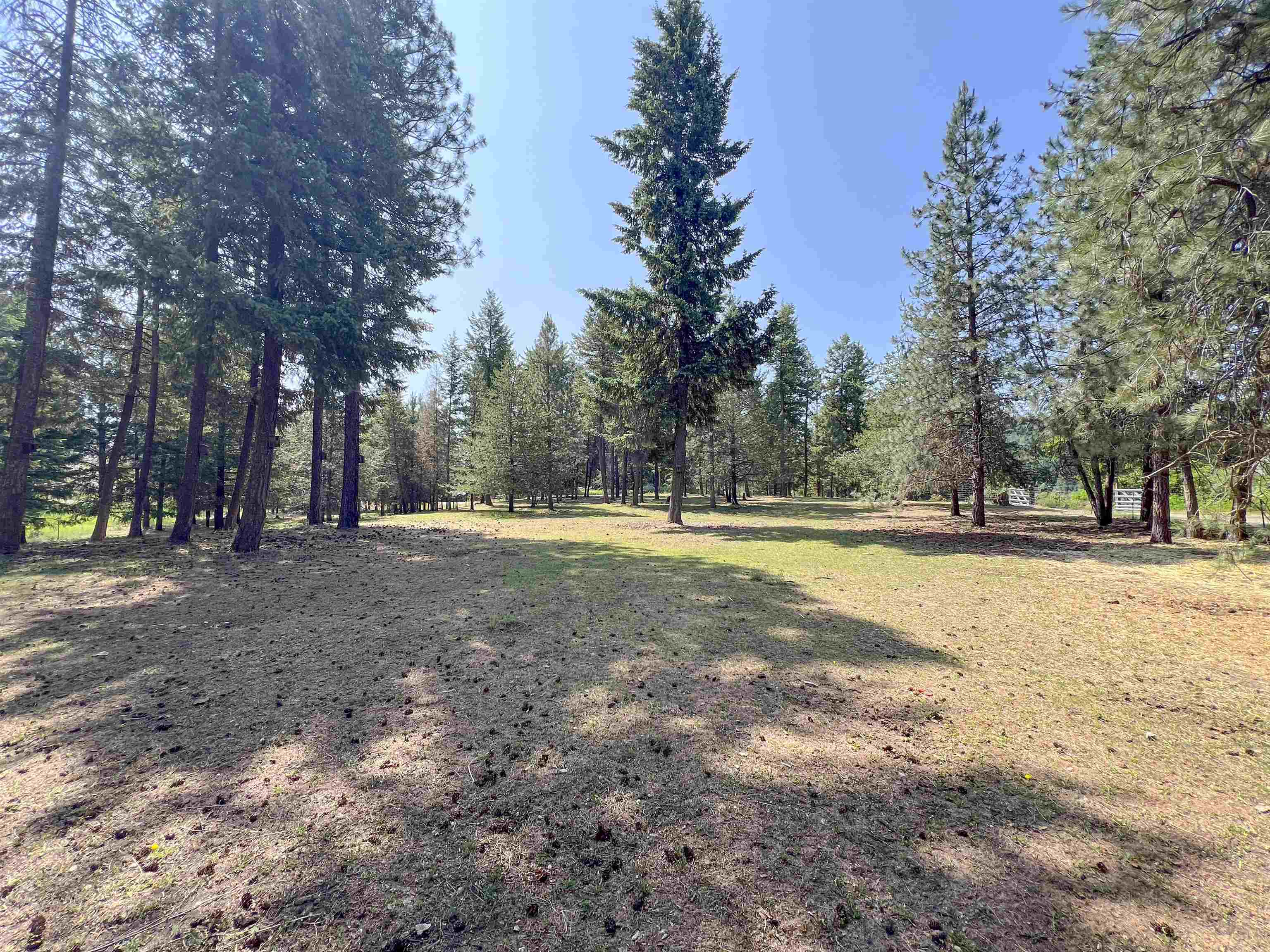 563 Graham Road Colville, WA 99114 - Photo 34 of 50