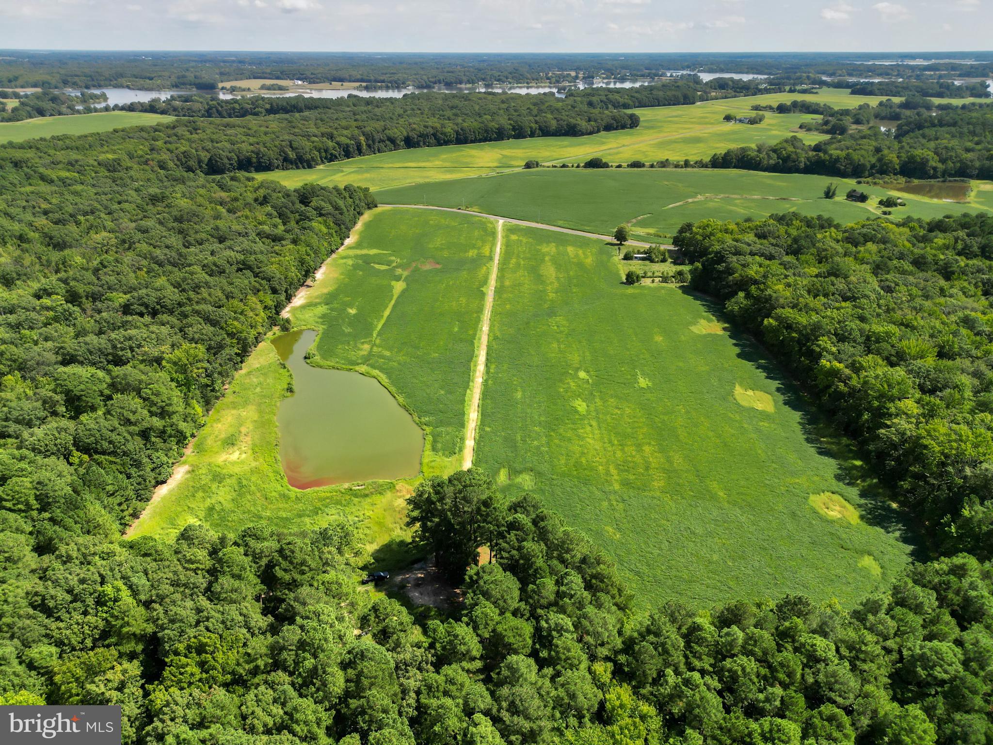 Edesville Road Rock Hall, MD 21661 - Photo 7 of 14 Gallery Image 7