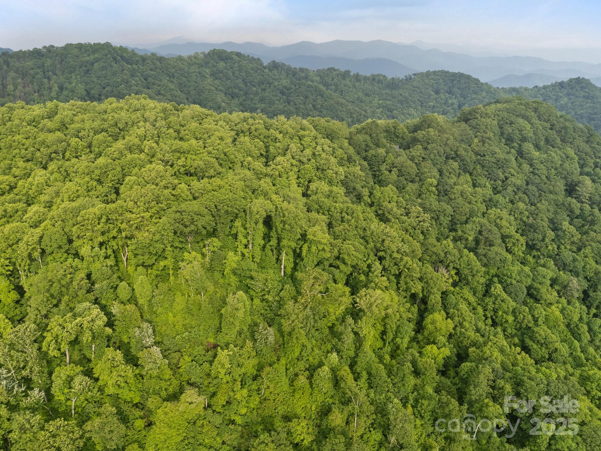 0 Granny Shepherd Road Apex, NC 27523 - Photo 11 of 13