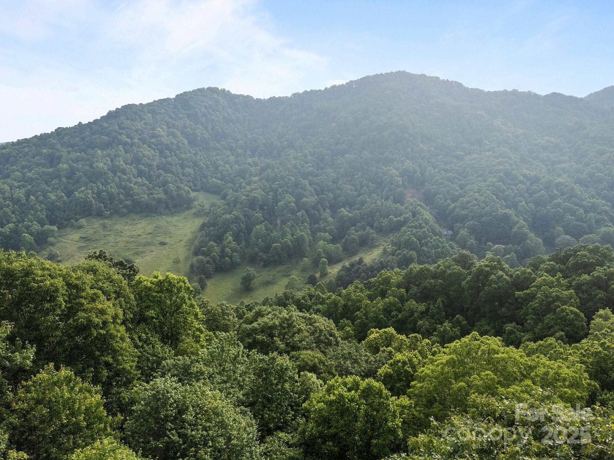 0 Granny Shepherd Road Apex, NC 27523 - Photo 12 of 13