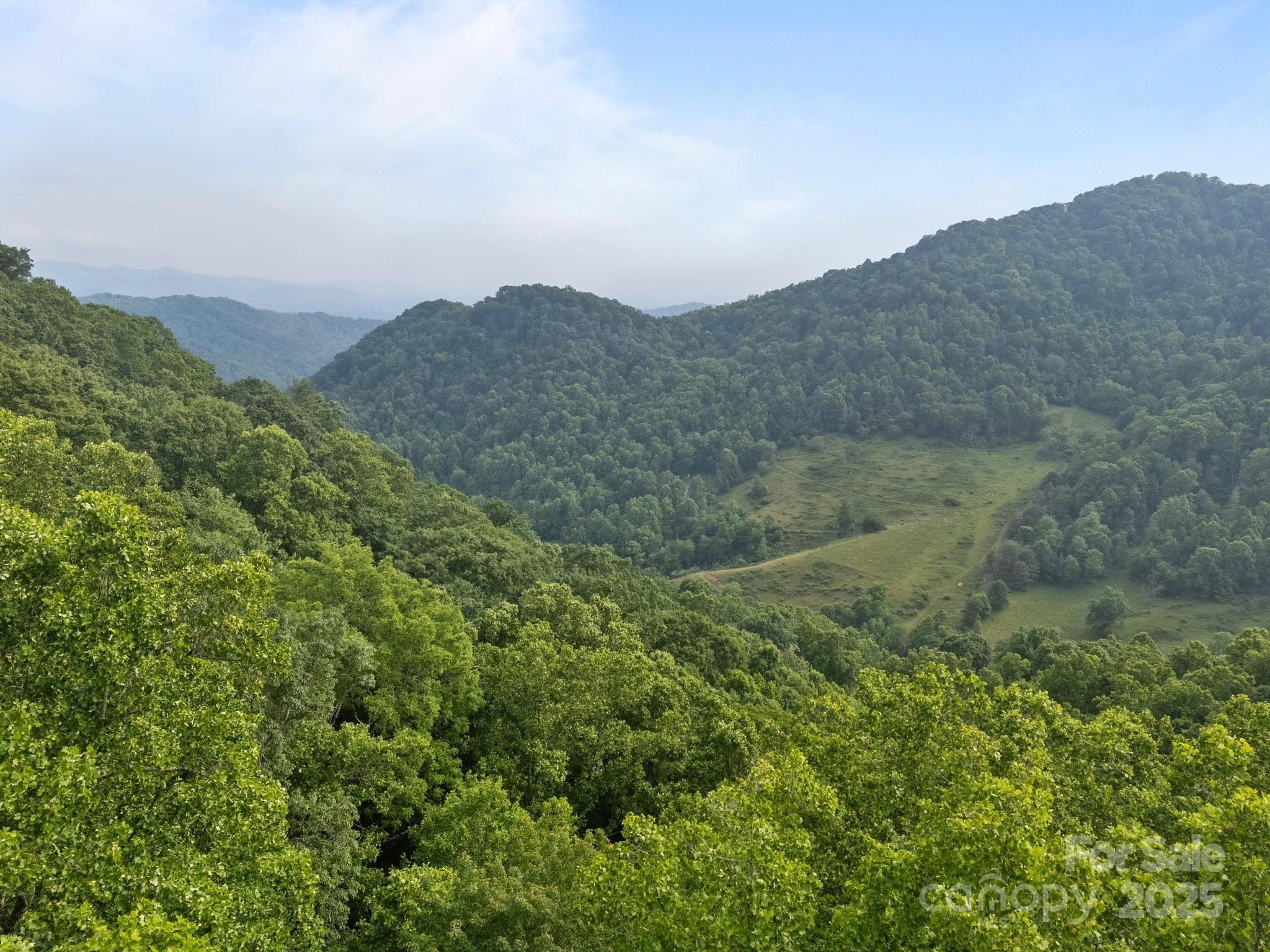 0 Granny Shepherd Road Apex, NC 27523 - Photo 13 of 13