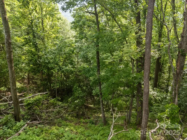 $16,000 | 0 Granny Shepherd Road, Apex, NC 27523